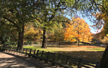 Mount Morris Park Historic Harlem Walking Tour Welcome To Harlem